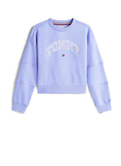Tommy Hilfiger Sweatshirt Varsity Sweatshirt