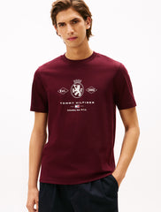 Tommy Hilfiger Varsity Graphic Interlock Knit T-Shirt