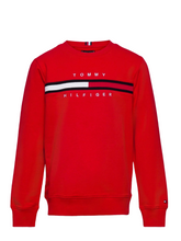 TH Kids Flag Rib Insert Sweatshirt