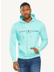 Tommy Hilfiger Logo Hoody