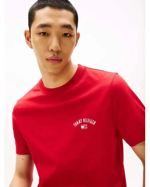 Tommy Hilfiger Summer Back Graphic T-Shirt