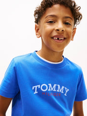 Tommy Hilfiger Logo Crew Neck Jersey T-Shirt