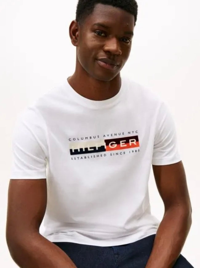 Tommy Hilfiger Logo Crew Neck T-Shirt