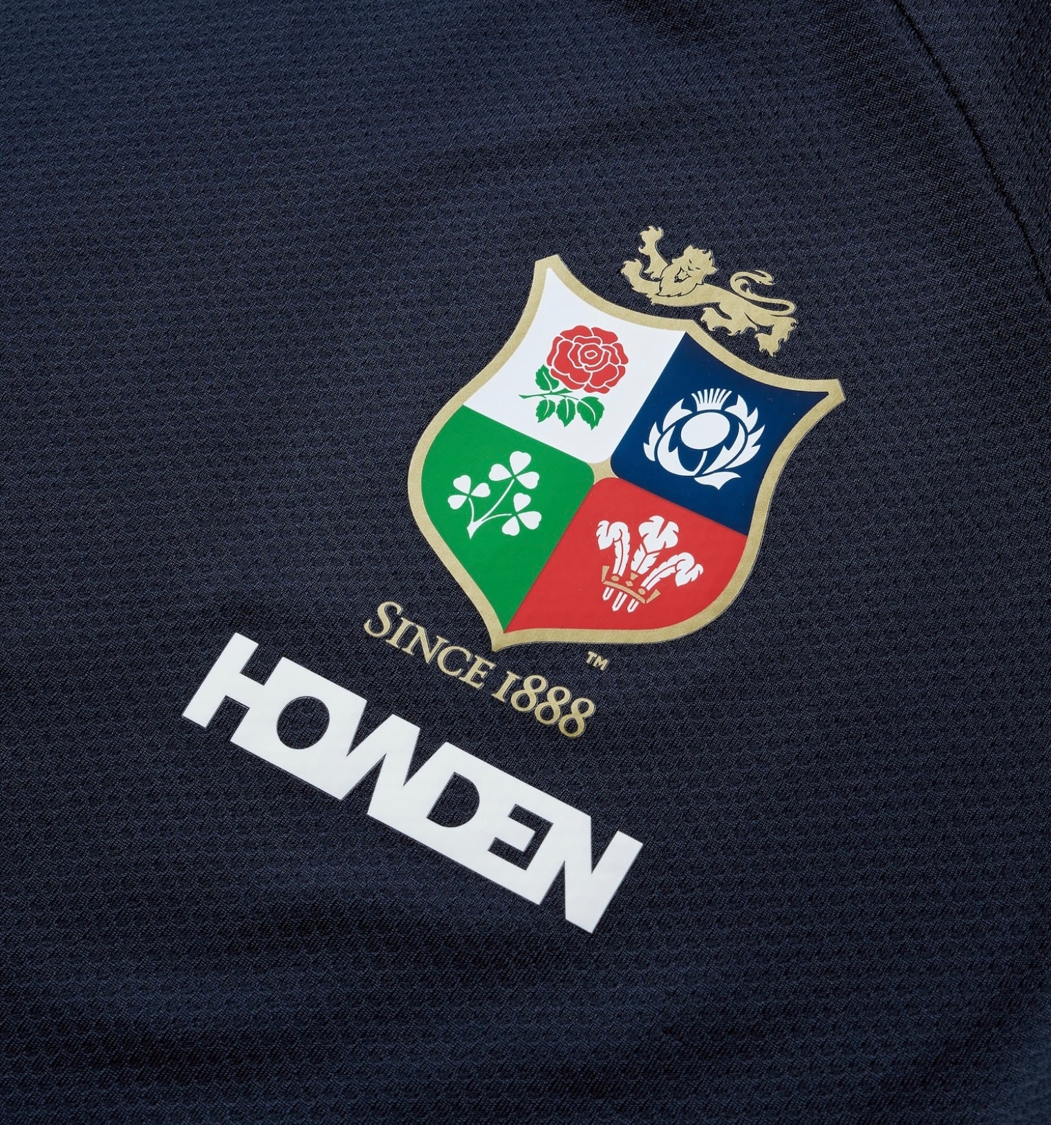 MENS BRITISH & IRISH LIONS CCC EVEREST T-SHIRT