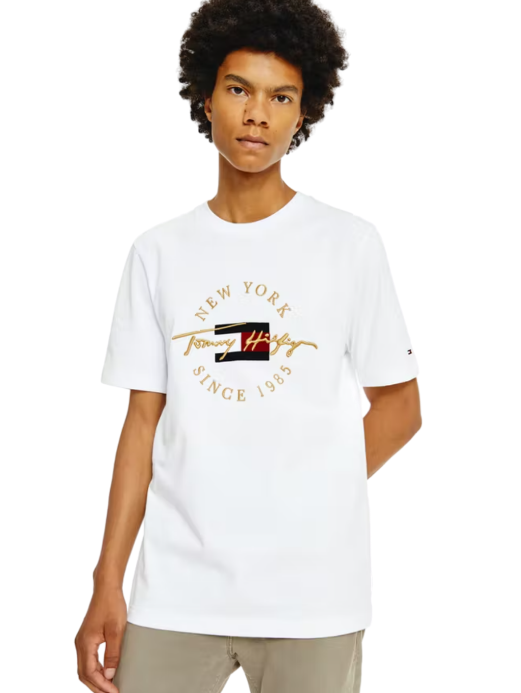 Tommy Icon Roundall T-Shirt